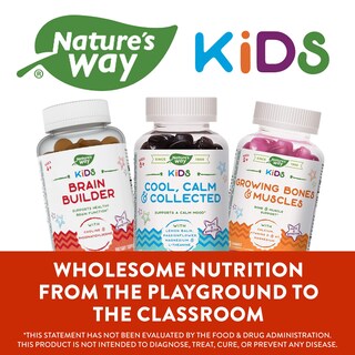 Foto 6 | Foto 6 | Suplemento Nature's Way Kids Brain Gummies 60 Lemonade - Venta Internacional
