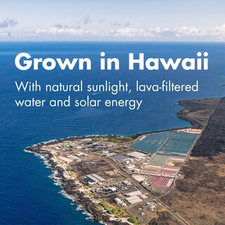 Foto 4 | Foto 4 | Suplemento Nutrex Hawaii Pure Hawaii Spirulina Hawaiana 500 Mg 200 Tabletas - Venta Internacional