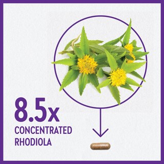Foto 4 | Foto 4 | Suplemento New Chapter Rhodiola Force 300 Mg 30 Cápsulas Veganas - Venta Internacional