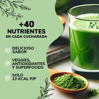 Foto 3 | Foto 3 | Suplemento Alimenticio Quotidien Green Mix Té Matcha, Clorofila, Enzimas Digestivas, Probióticos Bloom 150g