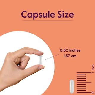 Foto 5 | Foto 5 | Suplemento Bestvite de Ácido Alfa Lipoico 100 Mg 240 Cápsulas - Venta Internacional