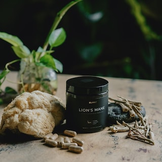 Foto 4 | Foto 4 | Suplemento Terra Elmnt Lions Mane De 20,000 Mg Con Ashwagandha Y Rodiola - Venta Internacional.