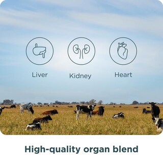 Foto 6 | Foto 6 | Suplementos Ancient Nutrition Organ Complex 30 Cápsulas - Venta Internacional.