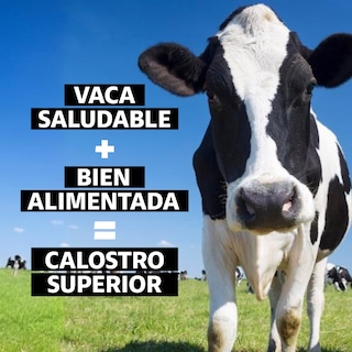 Foto 7 | Foto 7 | Suplemento Alimenticio Beyond Vitamins Calostro Bovino Grass Fed De Libre Pastoreo 1000 Mg Bovine Colostrum 60 Cápsulas