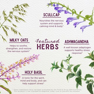 Foto 4 | Foto 4 | Suplemento Wishgarden Herbs Deep Stress Con Ashwagandha 120 Ml - Venta Internacional.
