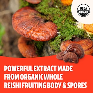 Foto 3 | Foto 3 | Suplemento De Hongos Reishi En Polvo Freshcap, 60 Porciones - Venta Internacional.