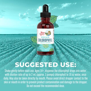 Foto 6 | Foto 6 | Suplemento De Clorofila Líquida Maryruth's, Vegano Sin Ogm, 60 Ml - Venta Internacional.
