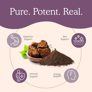 Foto 5 | Foto 5 | Suplemento De Hongos Orgánicos Chaga Capsules Real Mushrooms - Venta Internacional.