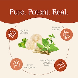Foto 4 | Foto 4 | Suplemento Real Mushrooms Realclarity Mushroom Powder Capsula - Venta Internacional.