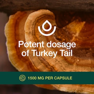 Foto 5 | Foto 5 | Seta De Cola De Pavo Orgánica Supplement Fresh Nutrition, 90 Cápsulas - Venta Internacional.