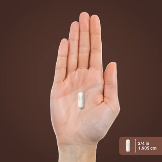 Foto 7 | Foto 7 | Suplemento Piping Rock Devils Claw 2000 Mg 200 Cápsulas - Venta Internacional.