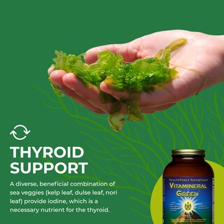 Foto 6 | Foto 6 | Suplemento Healthforce Superfoods Vitamineral Green 500 G - Venta Internacional.