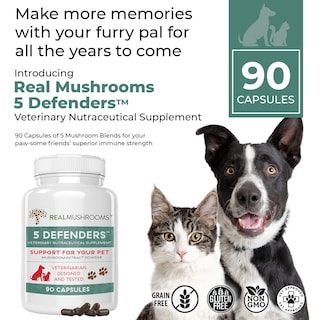 Foto 2 | Foto 2 | Suplementos De Hongos: 5 Defensores De Las Vitaminas Para Perros Y Gatos - Venta Internacional.