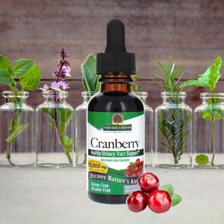 Foto 1 | Foto 1 | Suplemento De Extracto De Arándano Nature's Answer, 300 Ml, 10 000 Mg - Venta Internacional.
