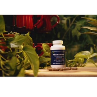Foto 6 | Foto 6 | Suplemento Dietético Quadramune Immune Support Con Pterostilben - Venta Internacional.