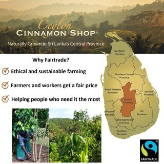 Foto 5 | Foto 5 | Suplemento Orgánico Cinnamon Shop Cinnamon Shop Cinnagold™ De 120 Ml - Venta Internacional.