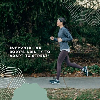 Foto 6 | Foto 6 | Suplemento Ancient Nutrition Mushroom Immune Support 30 Comprimidos - Venta Internacional.