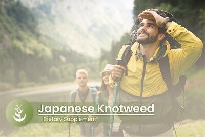 Foto 5 | Foto 5 | Suplemento Con Ingredientes Puros Y Originales, Nudillo Japonés, 100 Cápsulas - Venta Internacional.