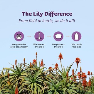 Foto 7 | Foto 7 | Suplemento En Gel De Aloe Vera Con Forma De Lirio Del Desierto, 3,78 Litros - Venta Internacional.