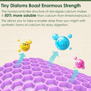 Foto 5 | Foto 5 | Suplemento De Calcio Lilicare A Base De Plantas 600 Mg Con Vitamina D3 K2 - Venta Internacional.