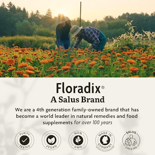 Foto 7 | Foto 7 | Tabletas De Hierro Floradix Energy Support 10 Mg 120 Tabletas - Venta Internacional.