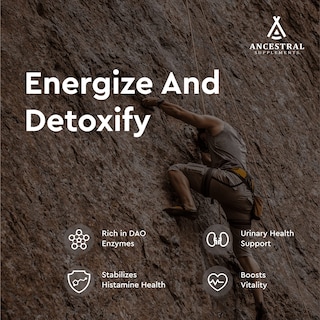 Foto 3 | Foto 3 | Suplemento Ancestral Supplements, Riñón De Res Alimentado Con Pasto, 3000 Mg - Venta Internacional.
