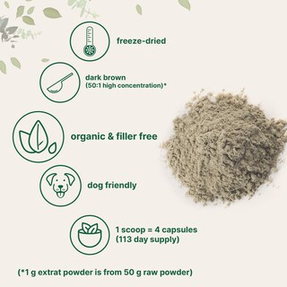 Foto 3 | Foto 3 | Suplemento Con Microingredientes, Hongos De Cola De Pavo Orgánicos, 8 Onzas - Venta Internacional.