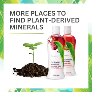 Foto 4 | Foto 4 | Suplemento De Minerales Líquidos Derivados De Plantas Youngevity, 32 Onzas - Venta Internacional.