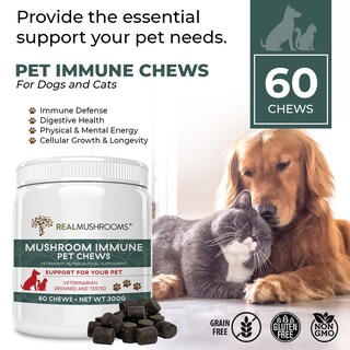 Foto 2 | Foto 2 | Suplemento Masticable Con Hongos Reales Para Mascotas, Para Perros (60 Unidades) - Venta Internacional.