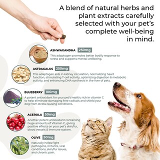Foto 4 | Foto 4 | Suplemento Masticable Con Hongos Reales Para Mascotas, Para Perros (60 Unidades) - Venta Internacional.
