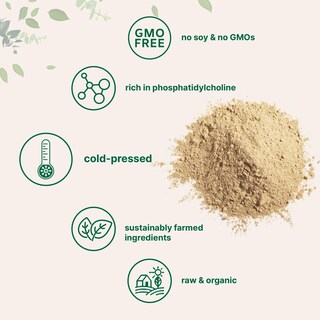 Foto 3 | Foto 3 | Microingredientes Orgánicos De Lecitina De Girasol En Polvo, 454 G - Venta Internacional.