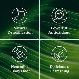 Foto 4 | Foto 4 | Paquetes De Clorofila En Barra Nature's Sunshine Supercharge Detox - Venta Internacional.