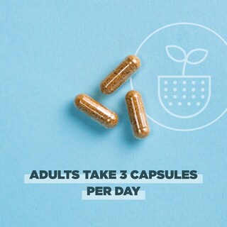 Foto 5 | Foto 5 | Complementa Las Hormonas Femeninas Orgánicas Regenerativas De Ancient Nutrition - Venta Internacional.