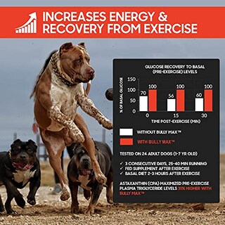 Foto 7 | Foto 7 | Suplemento Líquido Bully Max Para La Construcción Muscular 3 En 1 Para Perros - Venta Internacional.