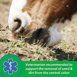 Foto 4 | Foto 4 | Suplemento Farnam Sand Clear Para Caballos Psyllium 1,36 Kg - Venta Internacional.