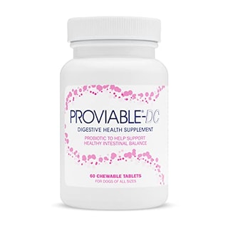 Foto 1 | Foto 1 | Suplemento Nutramax Proviable Digestive Health Para Perros 60 G - Venta Internacional.