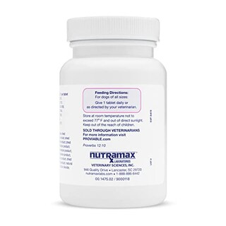 Foto 2 | Foto 2 | Suplemento Nutramax Proviable Digestive Health Para Perros 60 G - Venta Internacional.