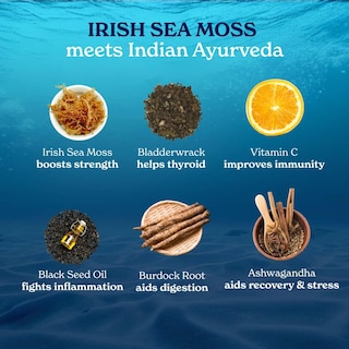 Foto 6 | Foto 6 | Cápsulas De Musgo Marino Better Alt Irish Con Aceite De Semillas Negras, 120 Cápsulas - Venta Internacional.