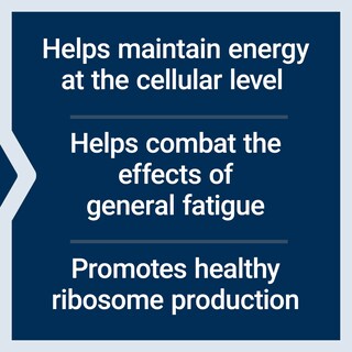 Foto 4 | Foto 4 | Suplemento Life Extension Energy Renew Con Extracto De Roble Francés - Venta Internacional.