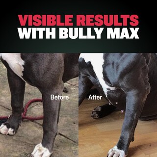 Foto 7 | Foto 7 | Suplemento Bully Max 2 En 1 Muscle Builder Para Perros, 60 Comprimidos - Venta Internacional.