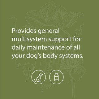Foto 3 | Foto 3 | Supplement Standard Process Canine Whole Body Support, 100 G - Venta Internacional.