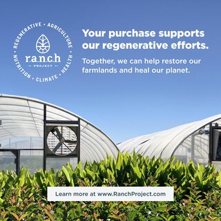 Foto 7 | Foto 7 | Suplemento Ancient Nutrition Sbo Probióticos de 30 Cápsulas-Venta Internacional