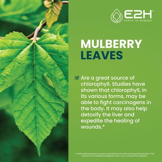 Foto 3 | Foto 3 | Suplemento E2h Gotas Líquidas De Clorofila 59 Ml Vegano Sin Gluten - Venta Internacional