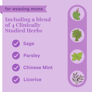 Foto 2 | Foto 2 | Suplemento Pink Stork No Flow Para Secar El Suministro De Leche Materna - Venta Internacional.