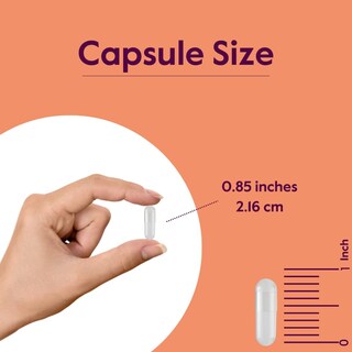 Foto 5 | Foto 5 | Suplemento Bestvite L-Carnosina 500 mg 2 Frascos de 120 Cápsulas C/U - Venta Internacional