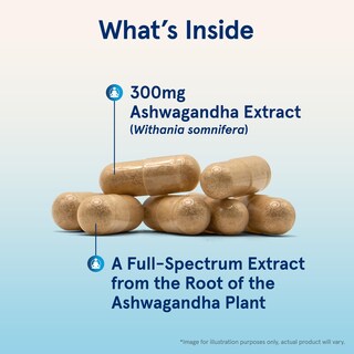 Foto 3 | Foto 3 | Suplemento Jarrow Formulas Ashwagandha 300 Mg 120 Cápsulas - Venta Internacional.