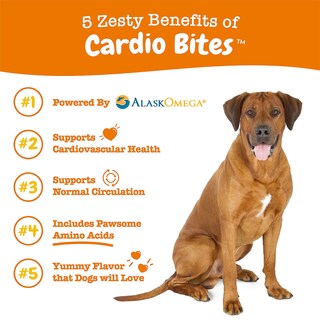 Foto 2 | Foto 2 | Suplemento De Apoyo Cardiovascular Zesty Paws Para Perros Mayores - Venta Internacional.