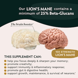 Foto 4 | Foto 4 | Suplemento Tribe Organics Lion's Mane 1800 Mg 120 Cápsulas Veganas - Venta Internacional.