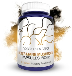Foto 1 | Foto 1 | Suplemento Nootropics Depot Lions Mane Mushroom 500 Mg 60 Cápsulas - Venta Internacional.