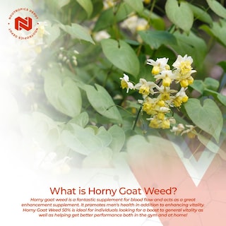 Foto 3 | Foto 3 | Suplemento Nootropics Depot Horny Goat Weed 200 Mg 30 Cápsulas - Venta Internacional.